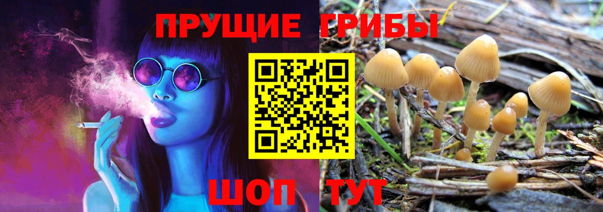 Галлюциногенные грибы Psilocybine cubensis Сафоново